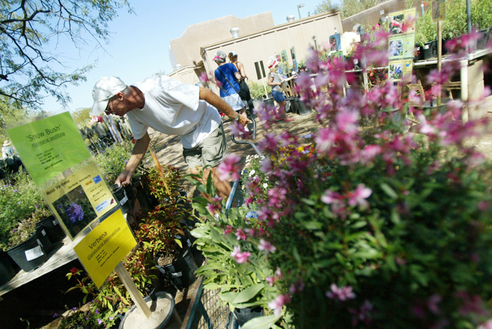 Tohono Chul Park fall plant sale